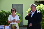 Zdjęcie z galerii