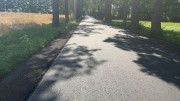 Zdjęcie z galerii