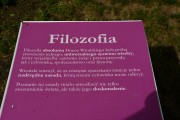 Zdjęcie z galerii